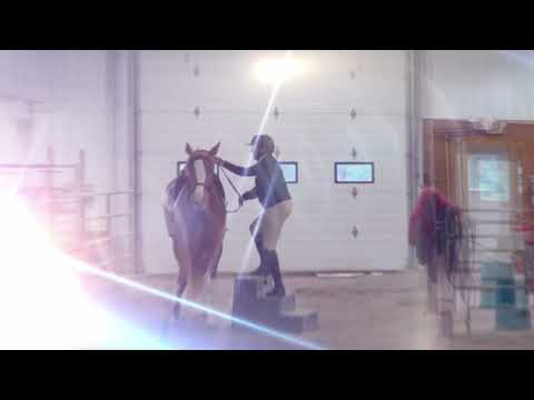 Under saddle