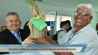 Miniatura do vídeo