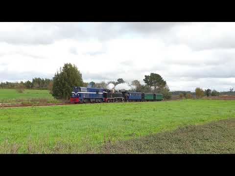 Comboio Especial n.º 20802 (Comboios Históricos na Linha do Vouga) - Azurva