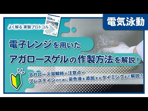 アガロースゲル電気泳動について詳しく解説
