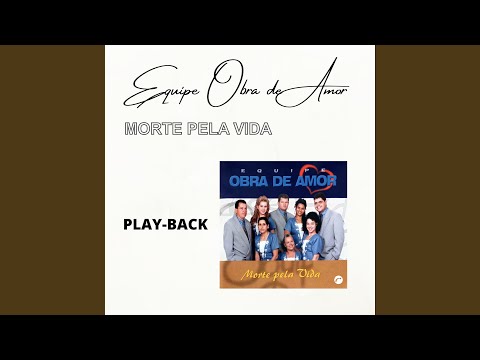 Um Ladrão na Noite (Playback)