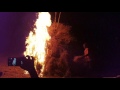 Holi Shimga