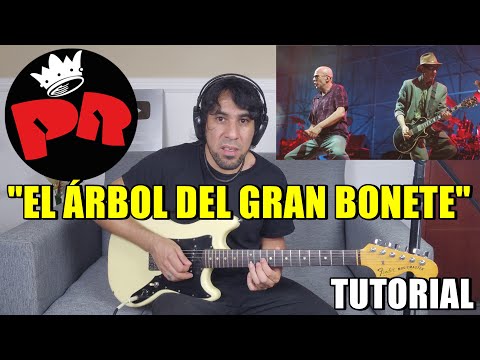 Como tocar "El árbol del gran bonete" LOS REDONDOS Tutorial Guitarra Completo c/Solo