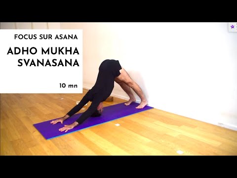 Adho Mukha Svanasana avec Philippe Amar - Yoga Studio Lille
