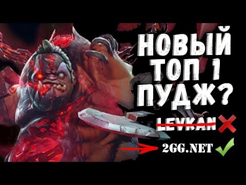 TOP 1 PUDGE IN THE WORLD 4000 GAMES