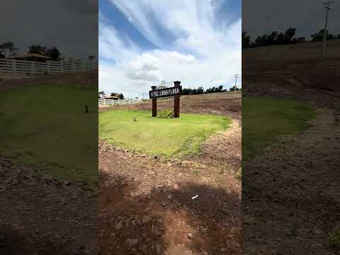 Fazenda Linda Flora em Abatiá Pr