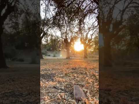 Rancagua Machalí  Marzo 2023 🇨🇱 #rancagua #ohiggins #machali #chile  @mpproducciones75