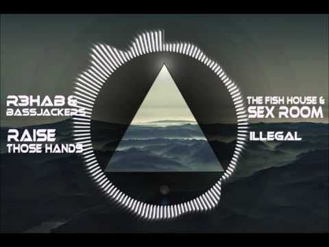 R3hab & Bassjackers vs The Fish House & Sex Room - Raise Those Hands - illegal