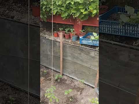 Ep.10. Walipini és a kert