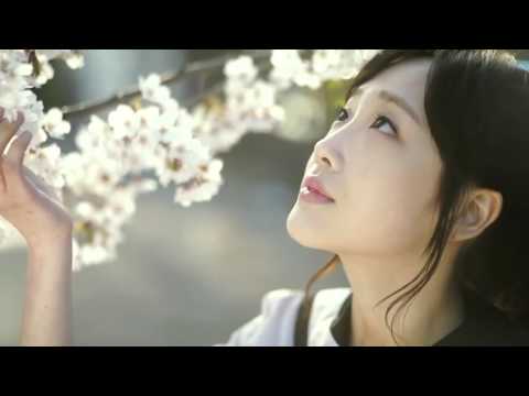 Noriko San Aye Enna, Dayan Witharana, නොරිකො සන් ආයෙ එන්න