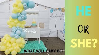 Gender reveal balloon garland | what will baby be? Balloon Decoration Ideas #genderreveal #balloons