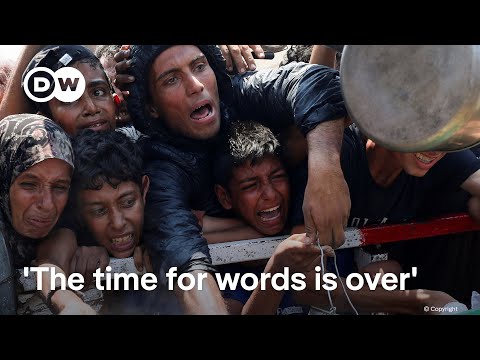 UN says one-third of Gazans go without food for days on end | DW News