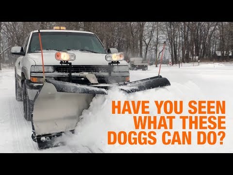 SnowDogg Plows by Buyers Products