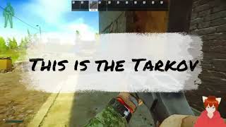 This is the Tarkov 　タルコフに黒い三連星現る