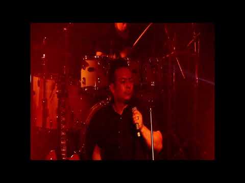 Modo - Fly On the Windscreen