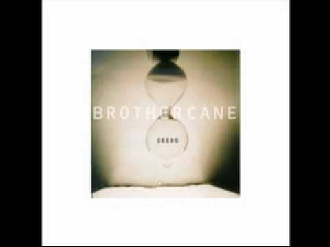 Brother Cane - And Fools Shine On