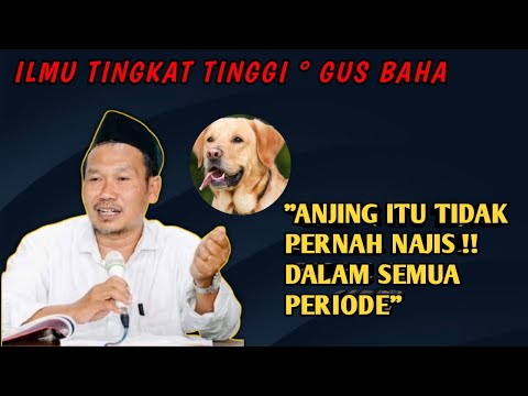 According to Gus Baha - Dogs are special, why are they dirty?