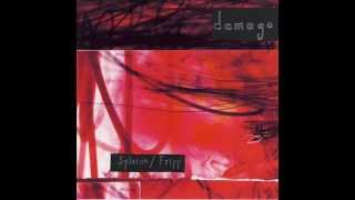 David Sylvian and Robert Fripp - The First Day live 1993 (Damage)