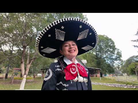 Seeing You're Leaving | Merlin Estrellita del Sur (Cover).