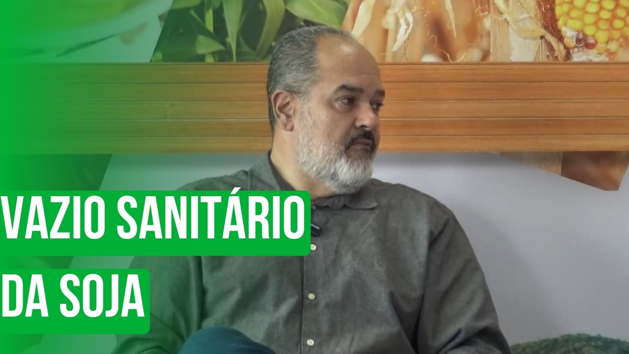 Vazio sanitário da soja