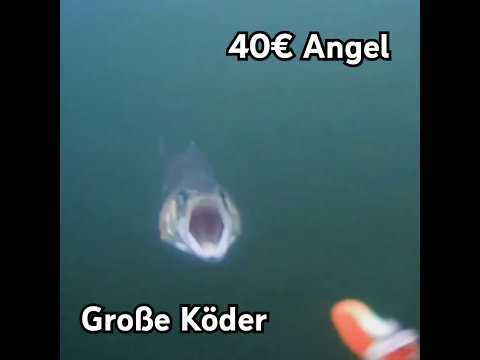 40€ Lidl Angel und große Köder mit der Baitcaster am Forellensee #angeln #baitcaster #forellenangeln