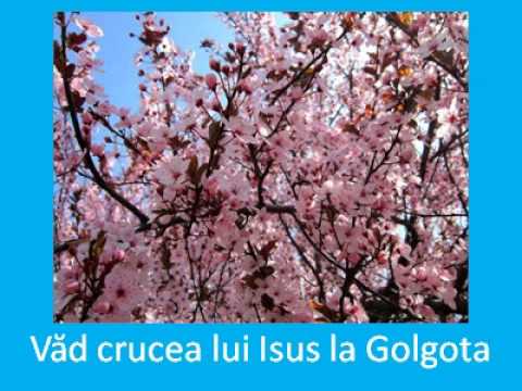 Văd crucea lui Isus la Golgota
