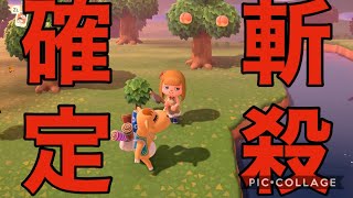 【勇者きょーすけよ戻って来い】ローランを○した理由があまりにも酷かった件について【あつまれどうぶつの森】＃５