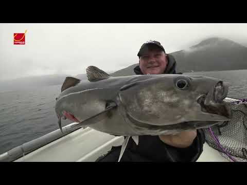 Angeln in Norwegen: Langfjord Lodge – Köhler Kracher und Luxus pur