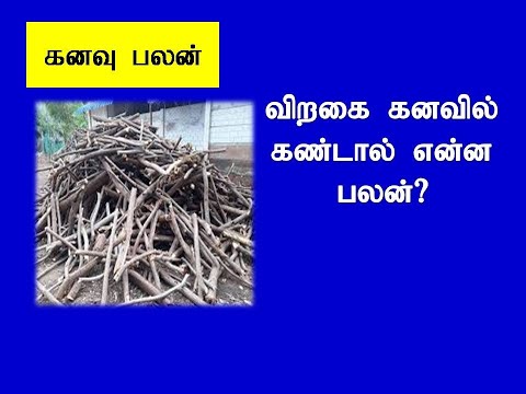 விறகை கனவில் கண்டால் என்ன பலன்/VIRAGAI KANAVIL KANDAL ENNA PALAN