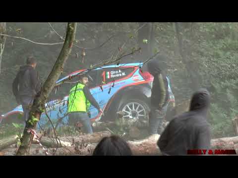 Rally del Rubinetto 2018 Gino e Caffoni Crash & Mistakes