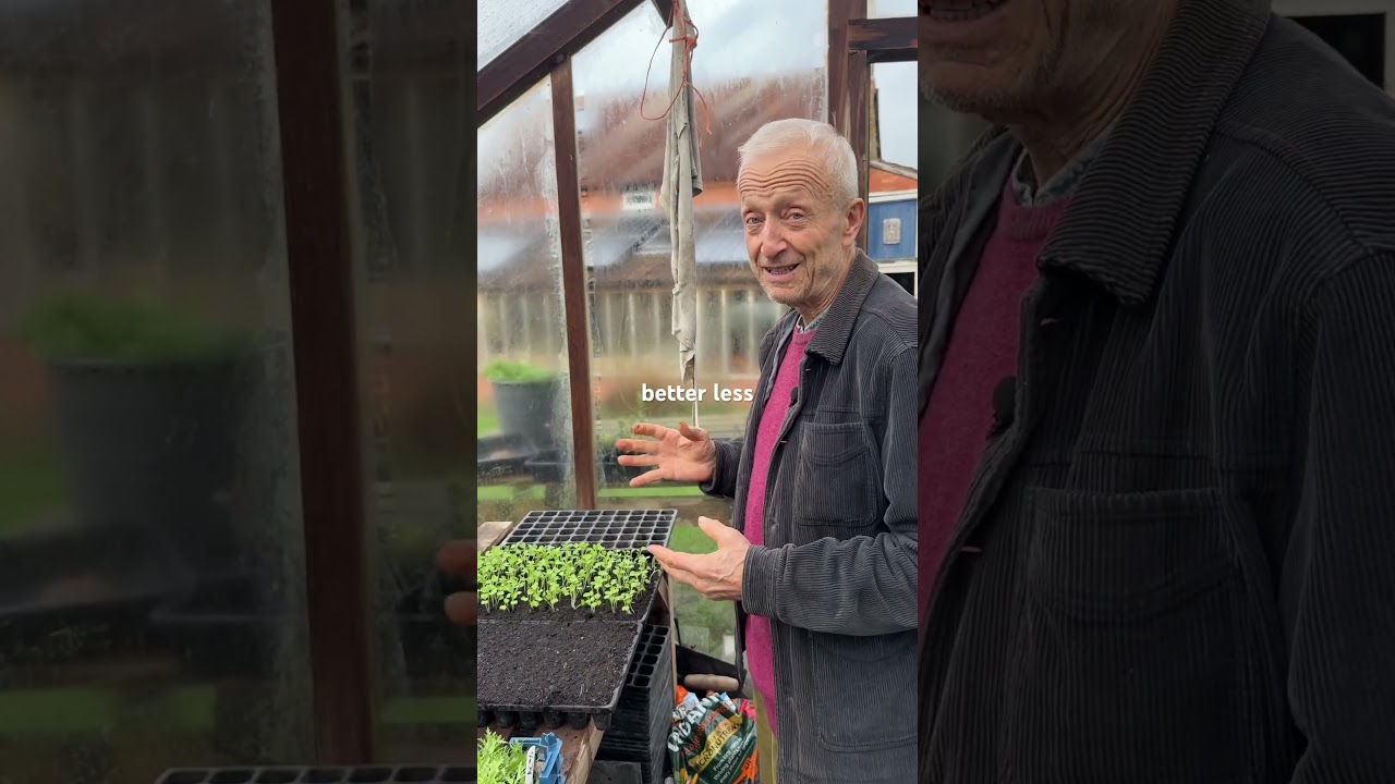 Old Trays and Potting Mix, Fresh Seeds – Propagation Part 1