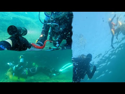 The Reason I fell In love With Scuba Diving!