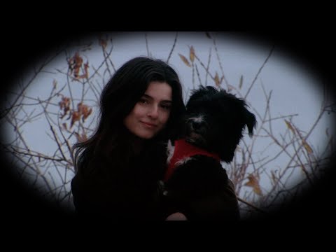 renforshort - serpentine (official lyric video)