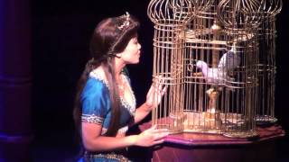 Aladdin a Musical Spectacular at Disney California Adventure