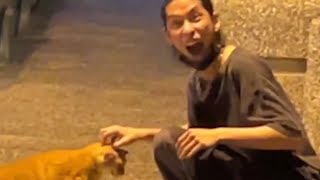 Cover art for Just memes