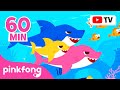 Baby Shark Dance More And More Doo Doo Doo 60 Min Baby Shark Non Stop Pinkfong Songs For Kids