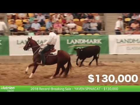 Hall Of Fame - One Moore Romance