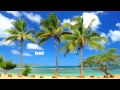 Zoo Brazil Crossroads (Original Mix) 