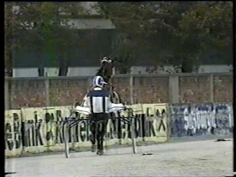 Graf Kalman Hunyady-Gedenkrennen 1987 - Vor dem Rennen