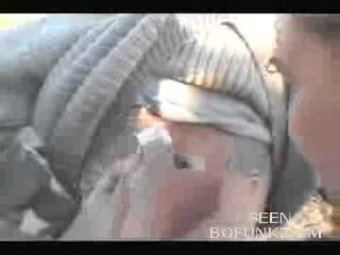 comment soigner plaie oreille chien