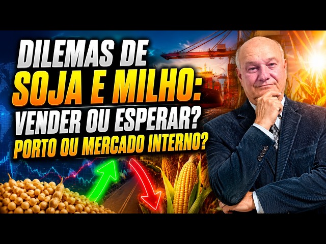 Dilemas de soja e milho: Vender ou esperar? Porto ou mercado interno?