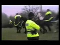 Wild Horses Of Newbury 2 Black Horses Protect Ancient English Oaks 1996