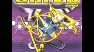 Shiva Squad feat. Sarah June - Circle of love (Official Shiva Theme 2003)