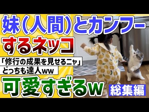 熱帯林を犠牲にしてアイスクリームを楽しむ