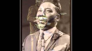 Muddy Waters - Rollin&#39; Stone (Solo)