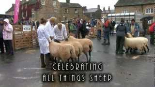 preview picture of video 'Border Collie Rescue - Masham Sheep Fair'