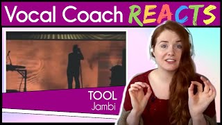 Vocal Coach reacts to Tool - Jambi (Live 2013)
