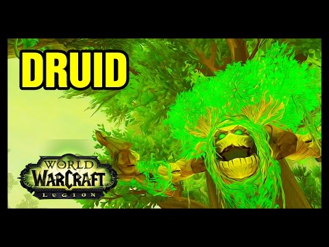 Fallen Offerings WoW Druid Order Hall