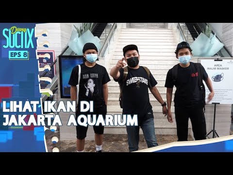 Jalan-Jalan ke JAQS, Jangan Lupa Melihat Ikan - DIARY SUCI IX
