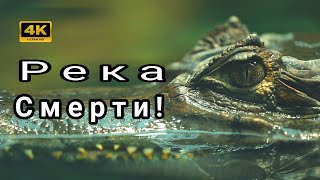 Download lagu “RIVER OF DEATH 💀 — The Most Dangerous Place on Earth mp3